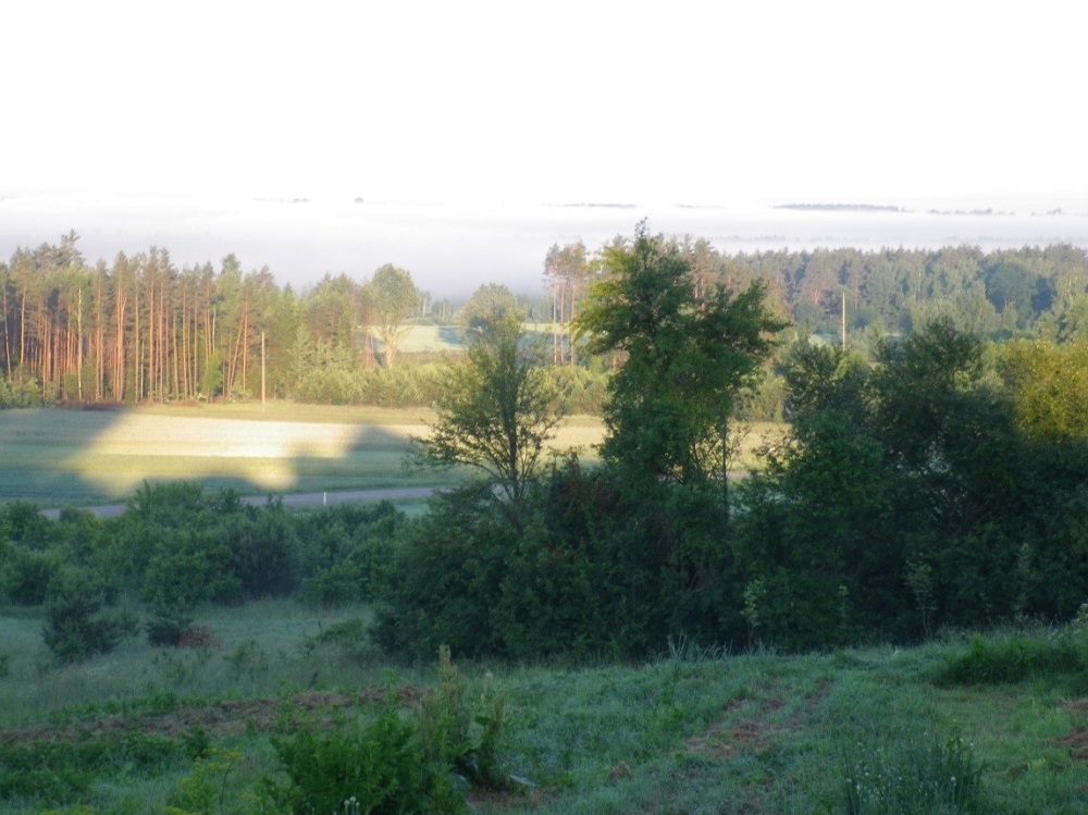 Kraštovaizdis